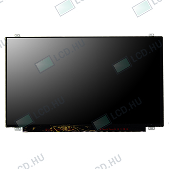 AU Optronics B156HTN03.5